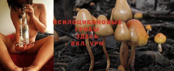 эйфоретик Липки