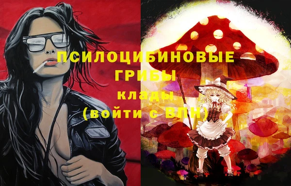 эйфоретик Липки