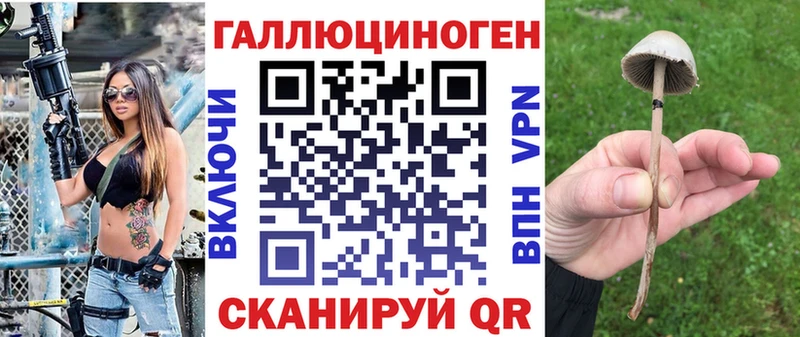 Галлюциногенные грибы Psilocybine cubensis  kraken ONION  Фурманов 